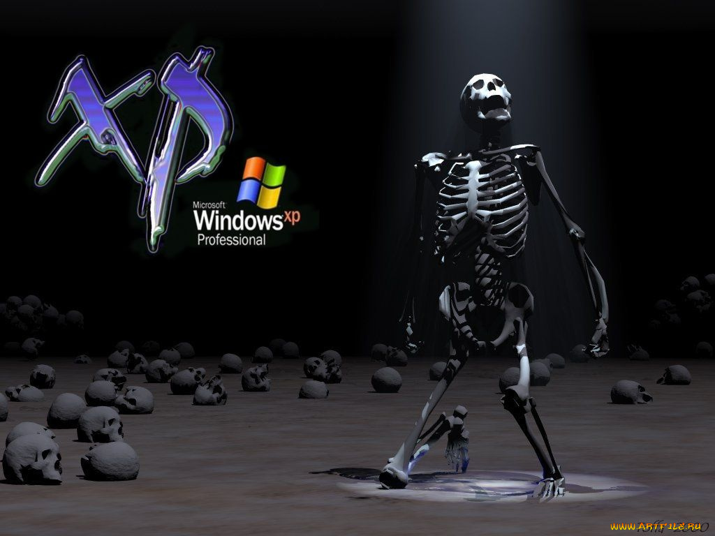 windows, xp, компьютеры