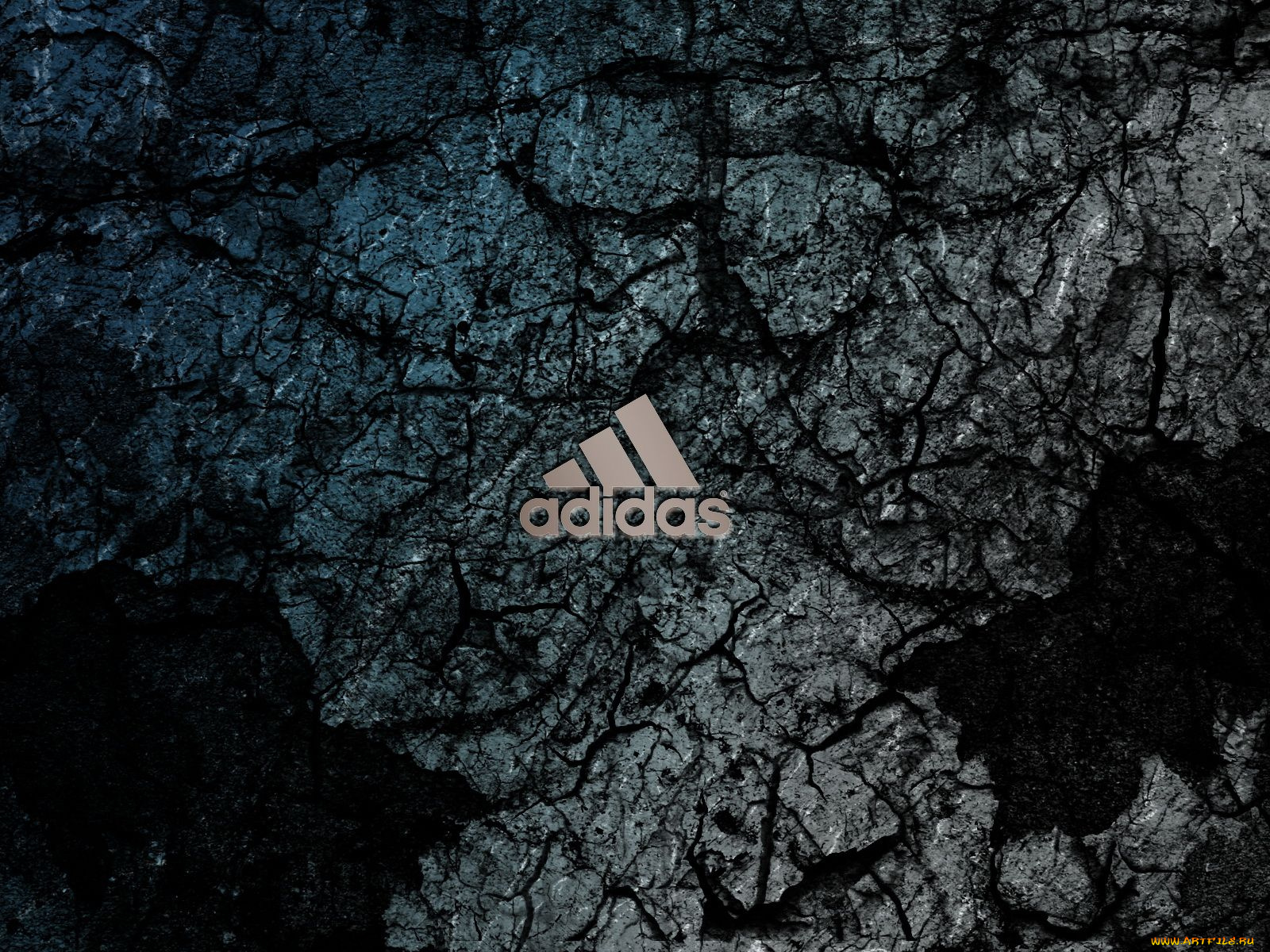 бренды, adidas