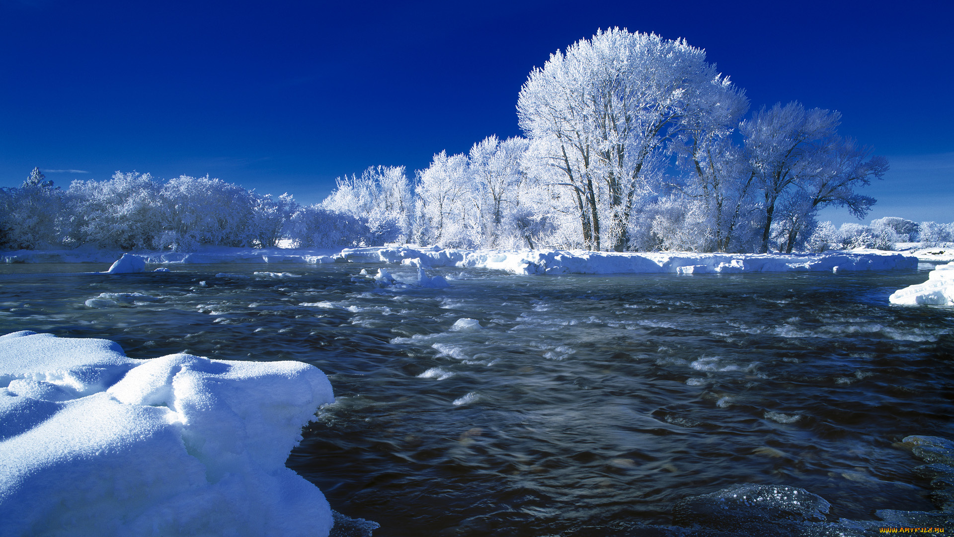 природа, зима, деревья, река