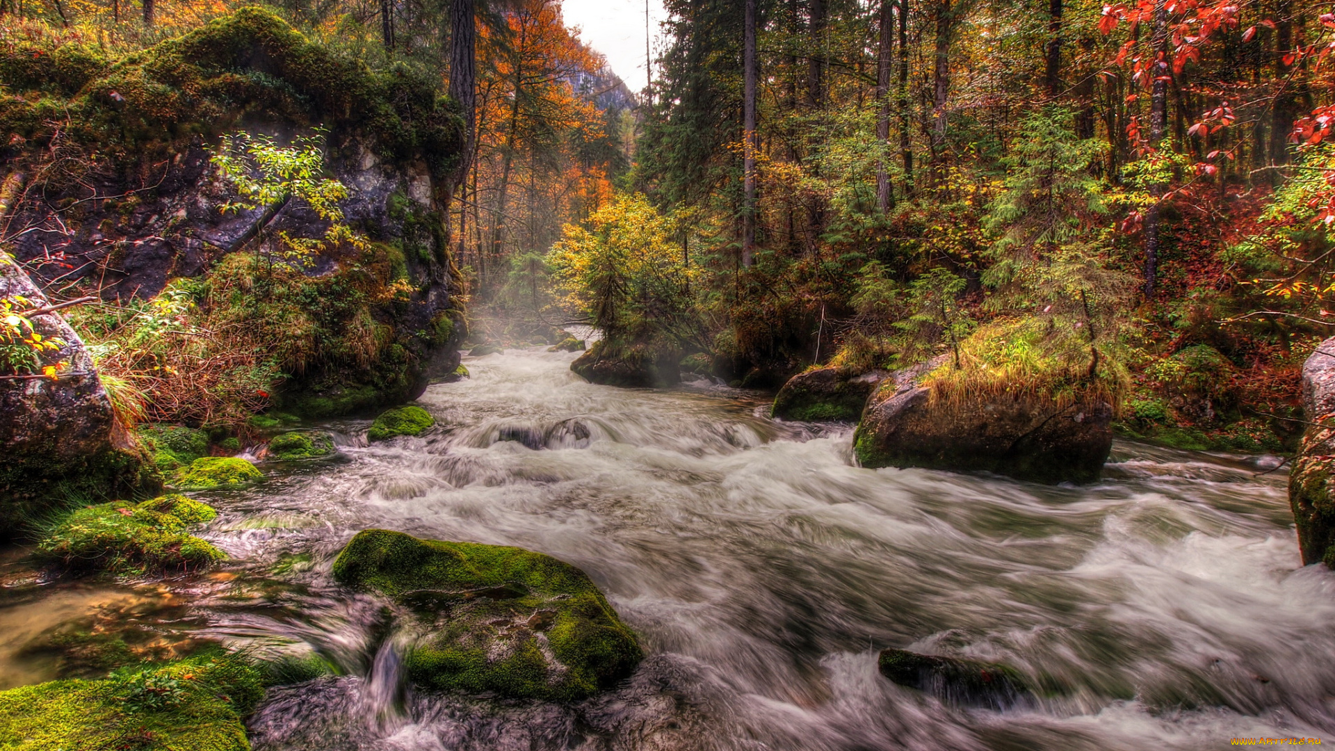 austria, природа, реки, озера, лес, река