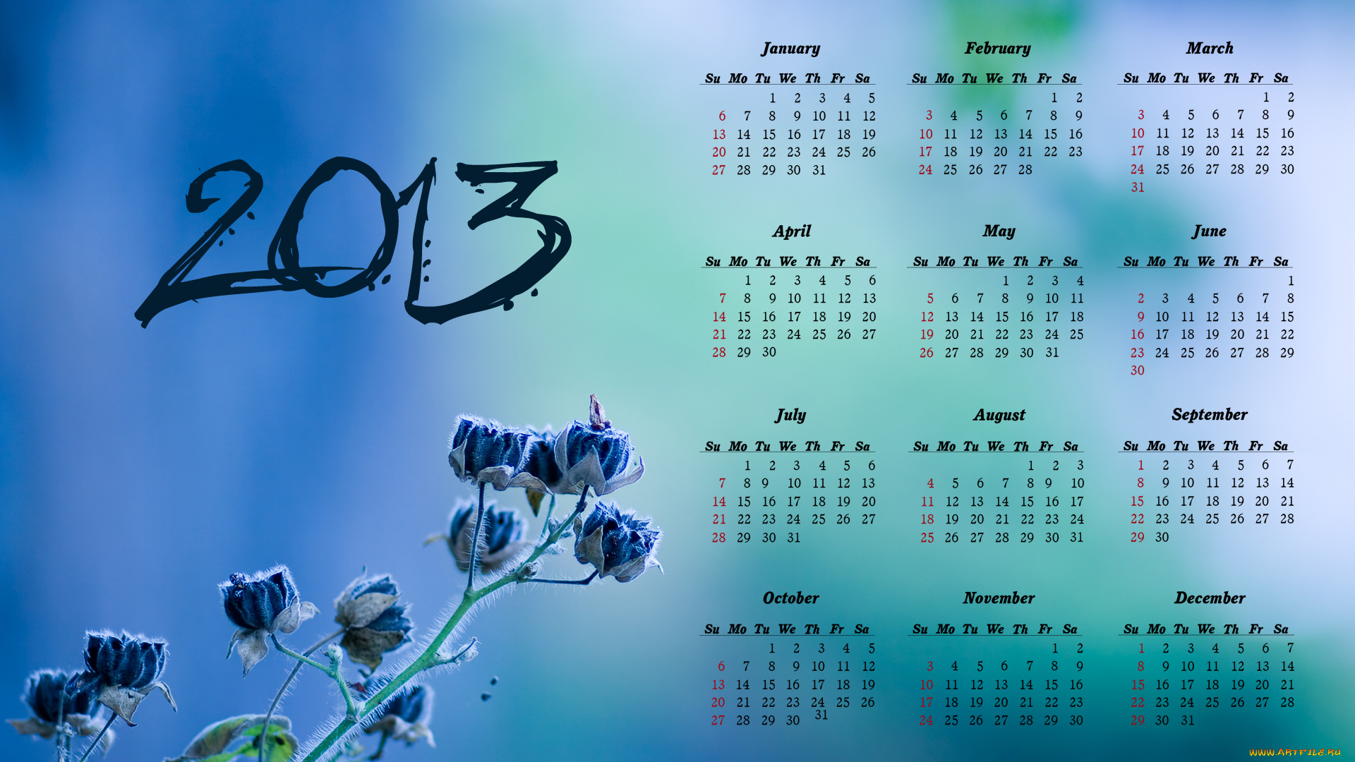 календари, цветы, растение