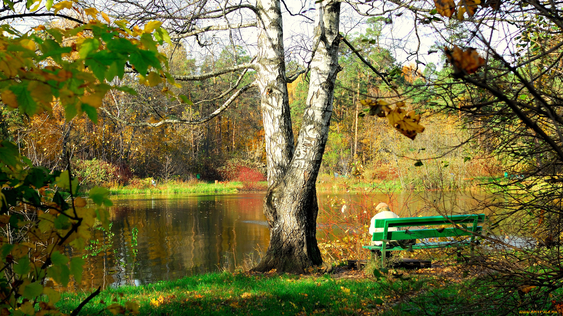 природа, реки, озера, пейзаж, скамья, осень