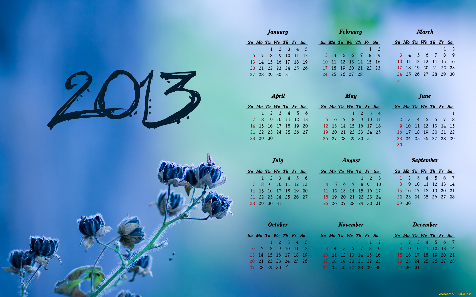 календари, цветы, растение