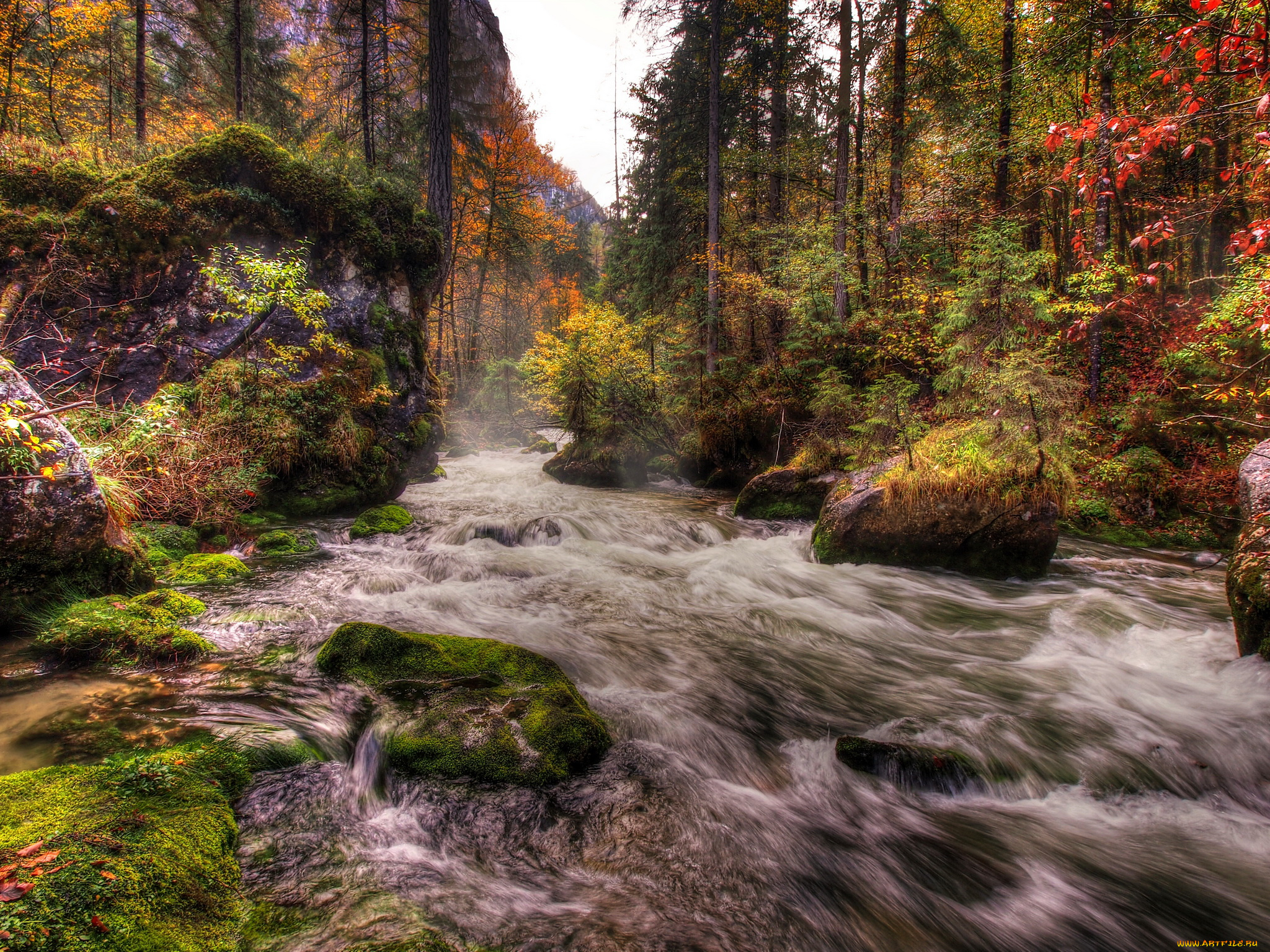 austria, природа, реки, озера, лес, река