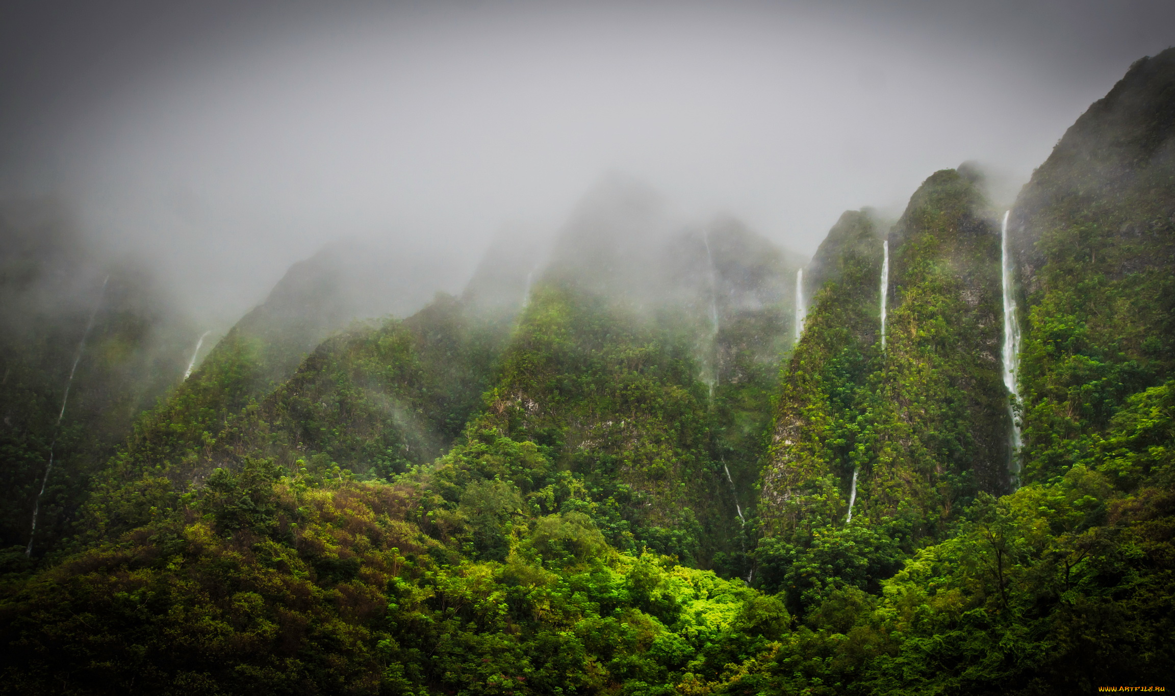 waterfalls, in, the, jungle, highlands, oahu, hawaii, природа, водопады, джунгли, водопад, туман