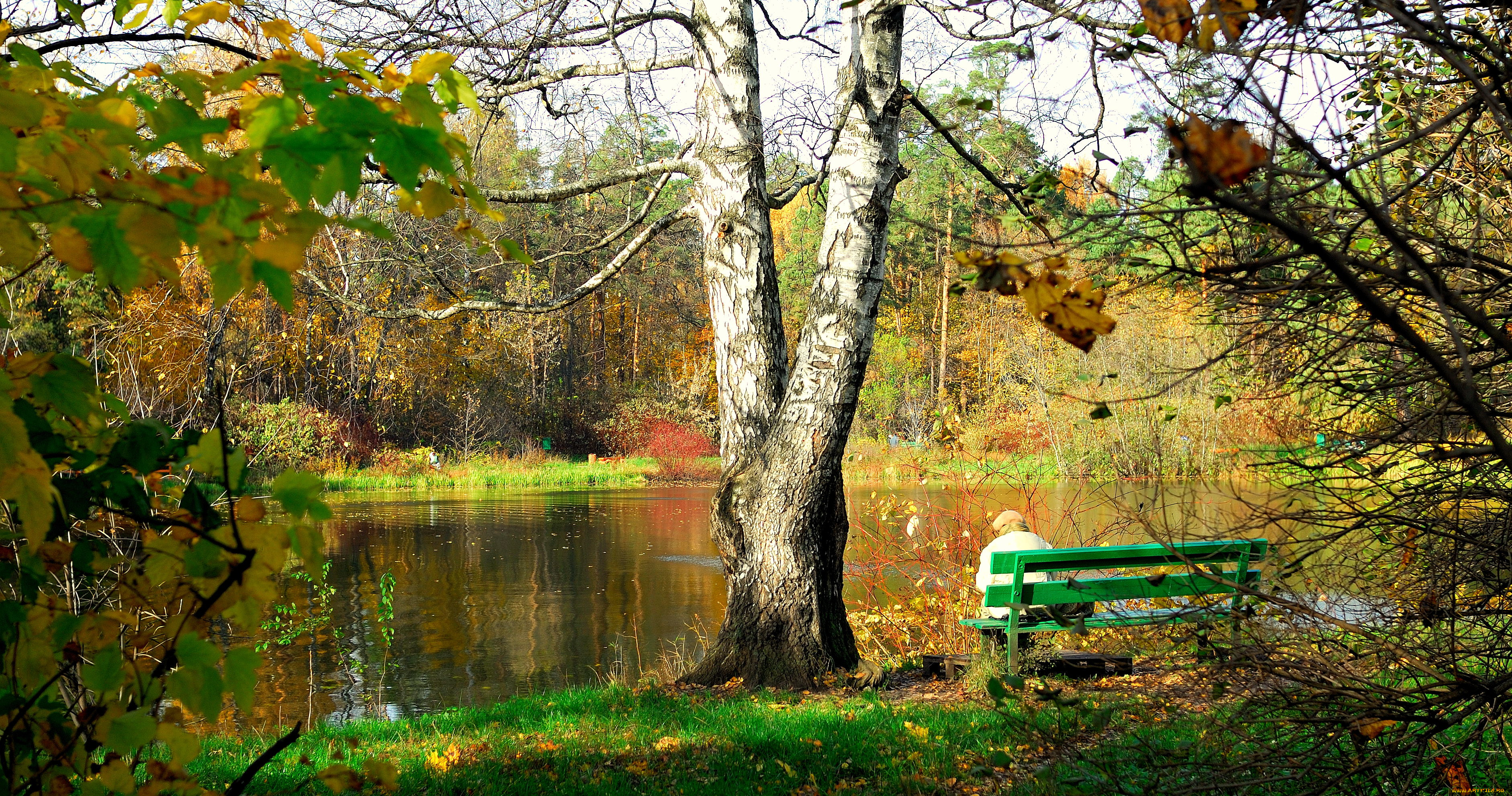 природа, реки, озера, пейзаж, скамья, осень