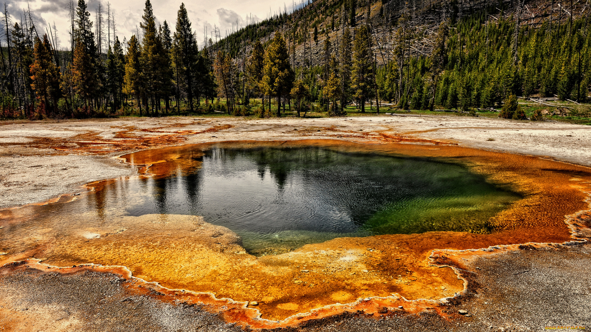 colorful, pond, at, yellowstone, природа, стихия, парк, национальный, гейзер, горы