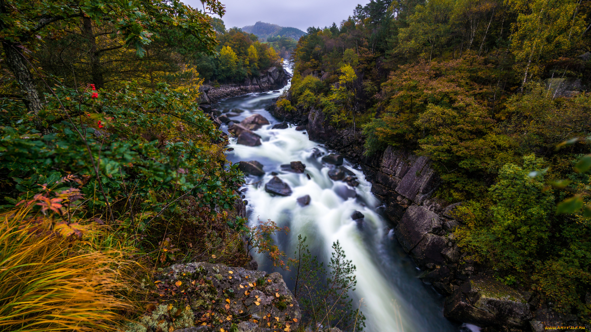 природа, реки, озера, горы, стремнина, река, лес, скалы