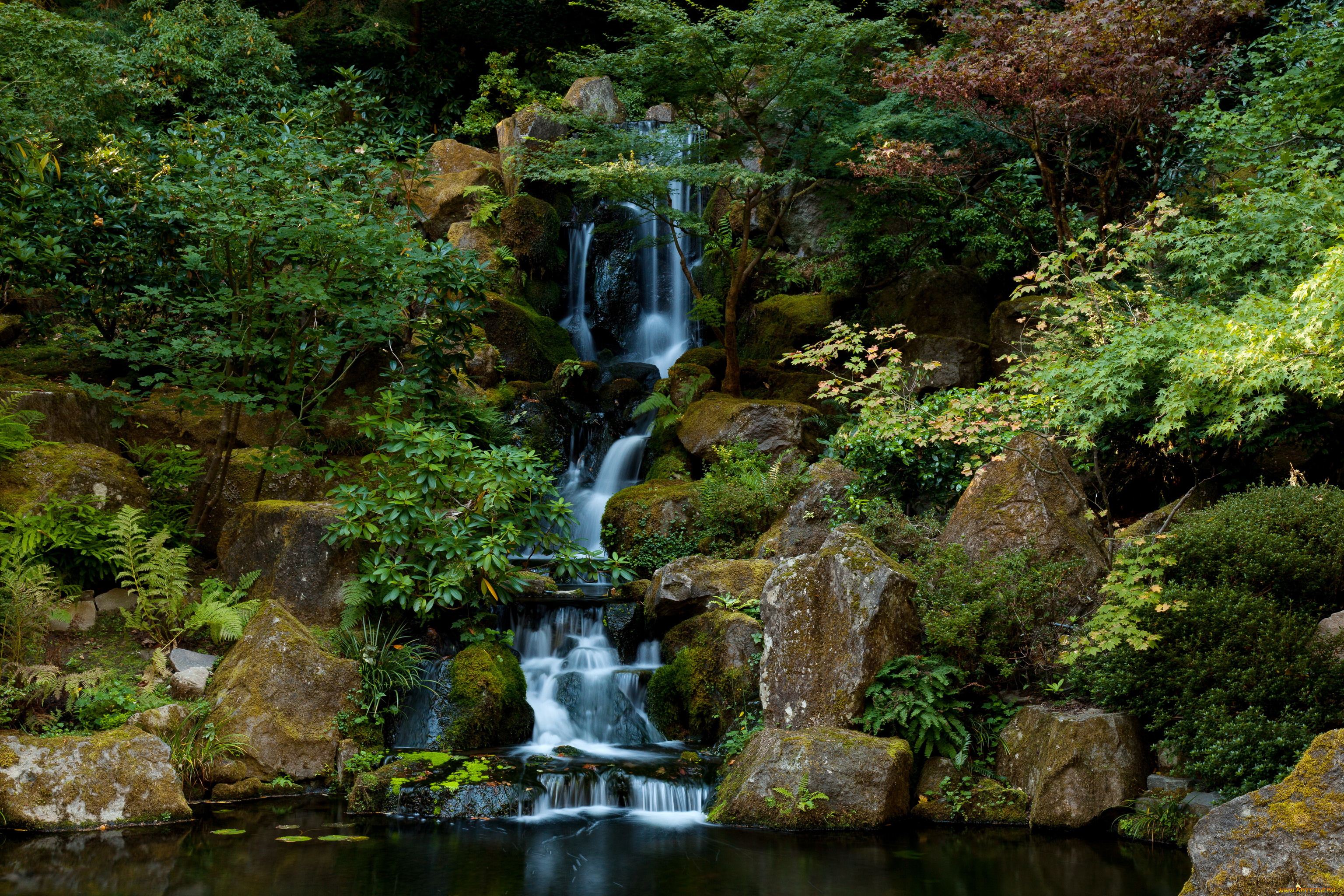 Японский, сад, природа, водопады, водопад, сад, Японский, орегон, portland
