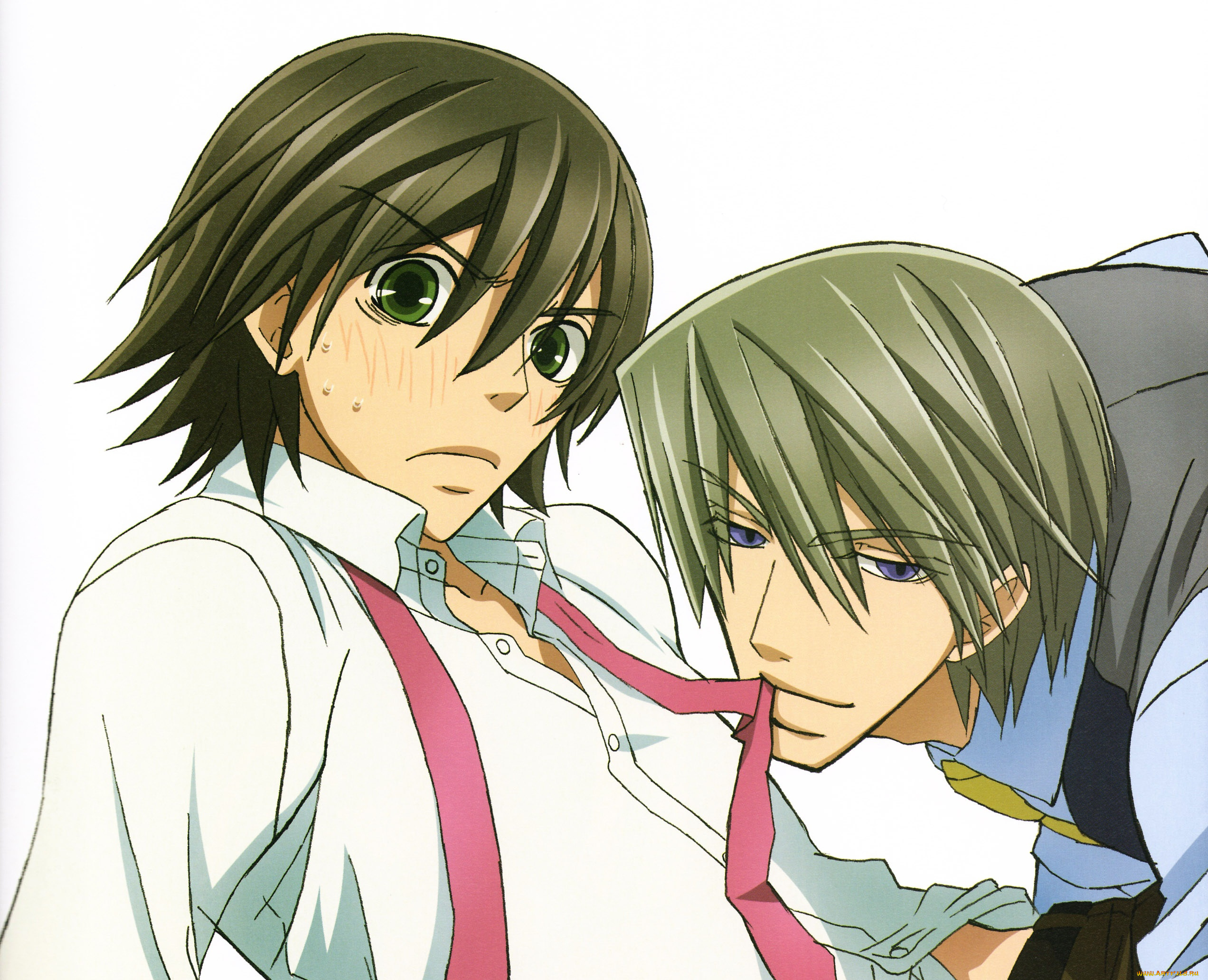 аниме, junjou, <b>romantica</b>, мисаки, акихико.