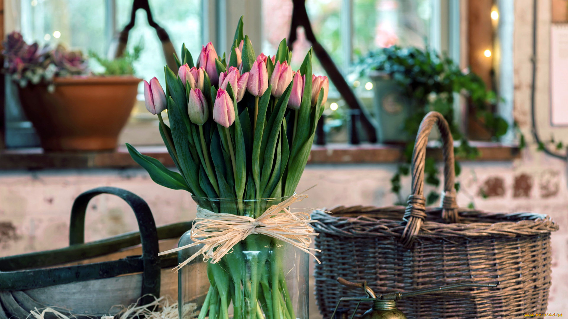цветы, тюльпаны, корзинка, ваза, бутоны, много