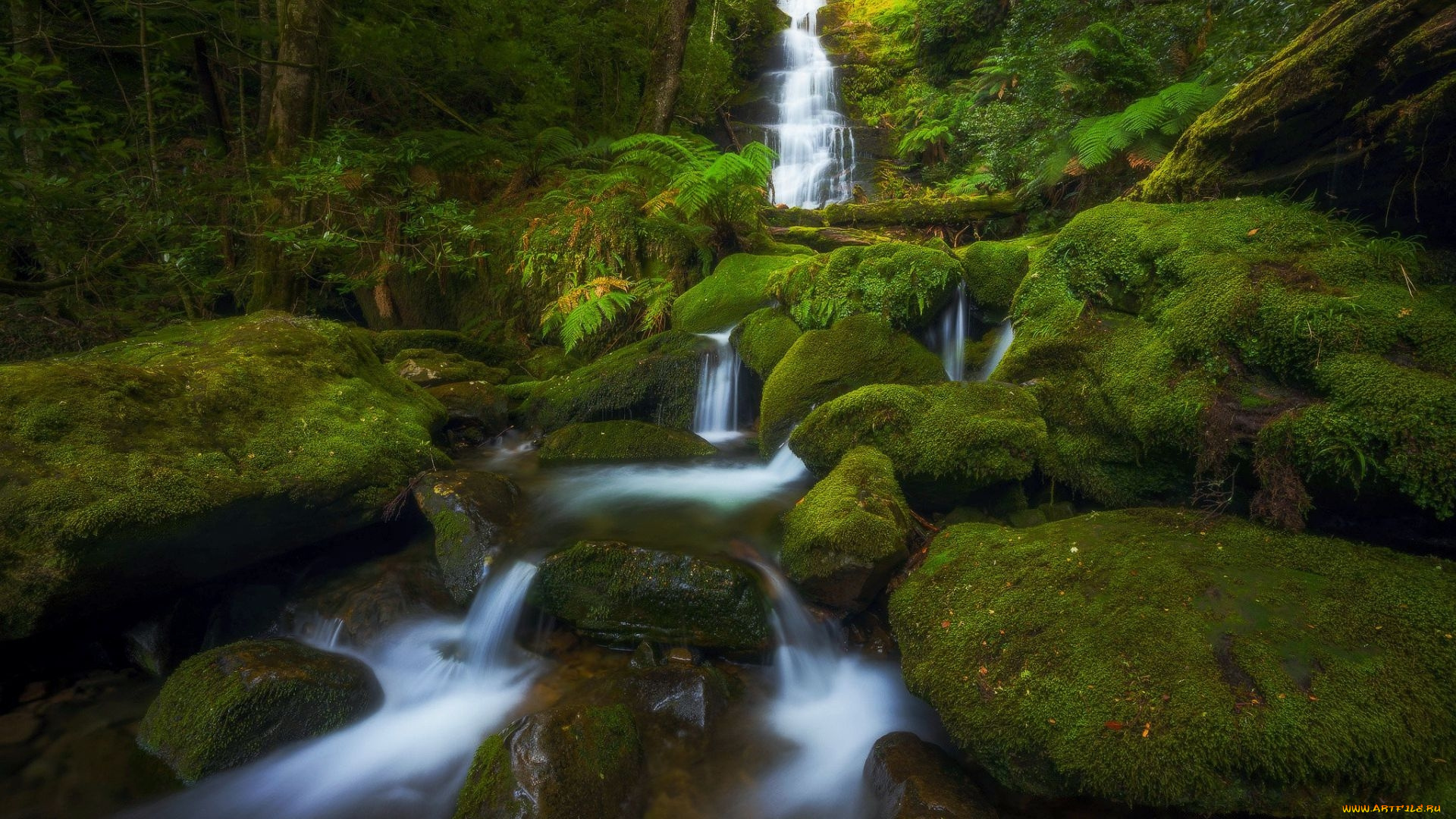 bastion, creek, cascades, tasmania, australia, природа, водопады, bastion, creek, cascades