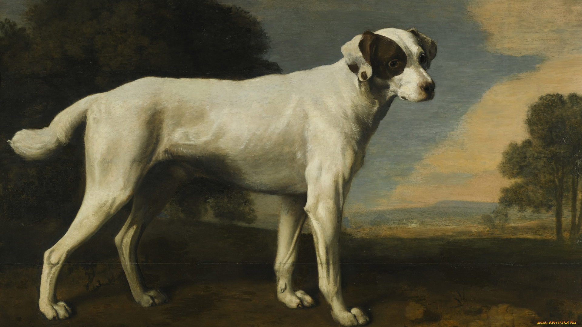 george, stubbs, рисованные, собака