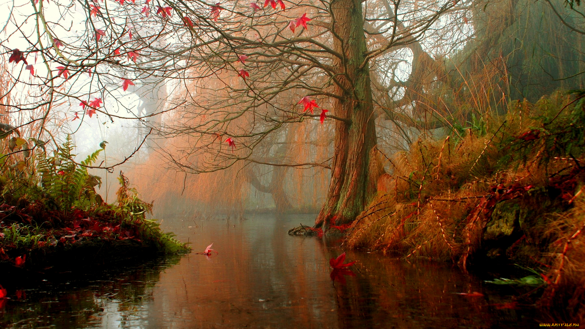 misty, river, природа, реки, озера, река, осень, пейзаж