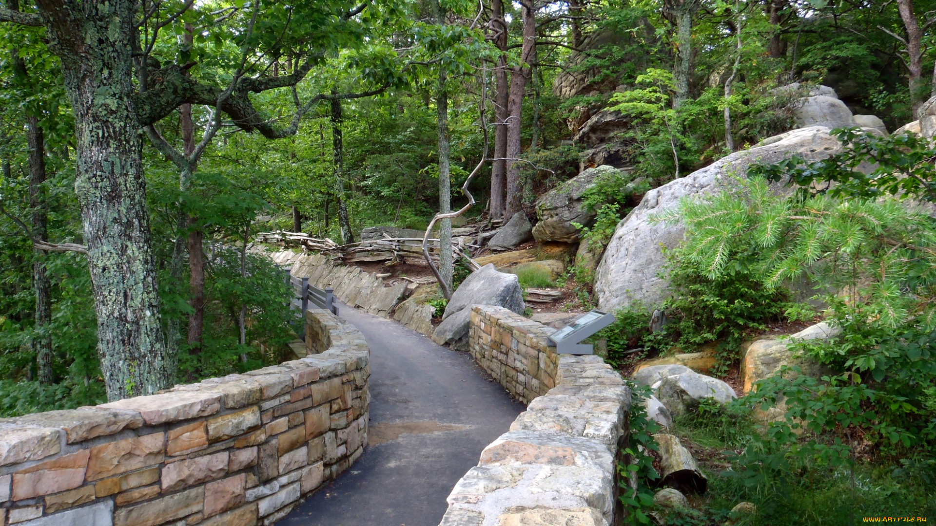 path, to, the, observation, deck, cumberland, gap, tn, природа, дороги, сша