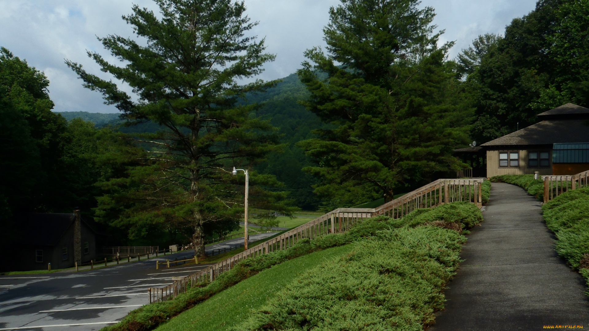 roan, mountain, state, park, природа, парк, сша