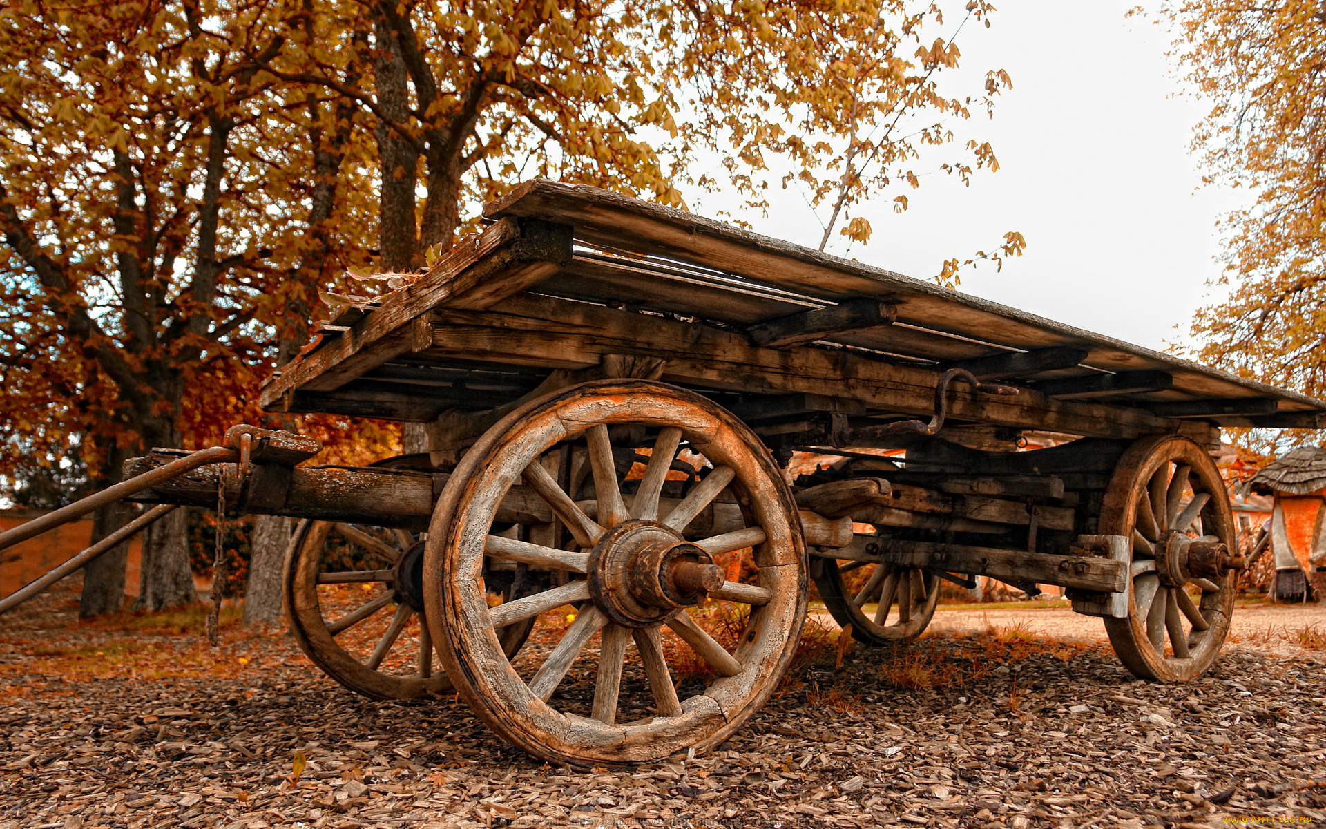 the, cart, разное, транспортные, средства, магистрали, пейзаж, осенний, опушка, телега