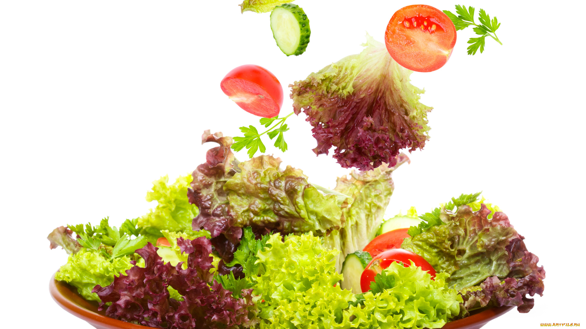 еда, овощи, салат