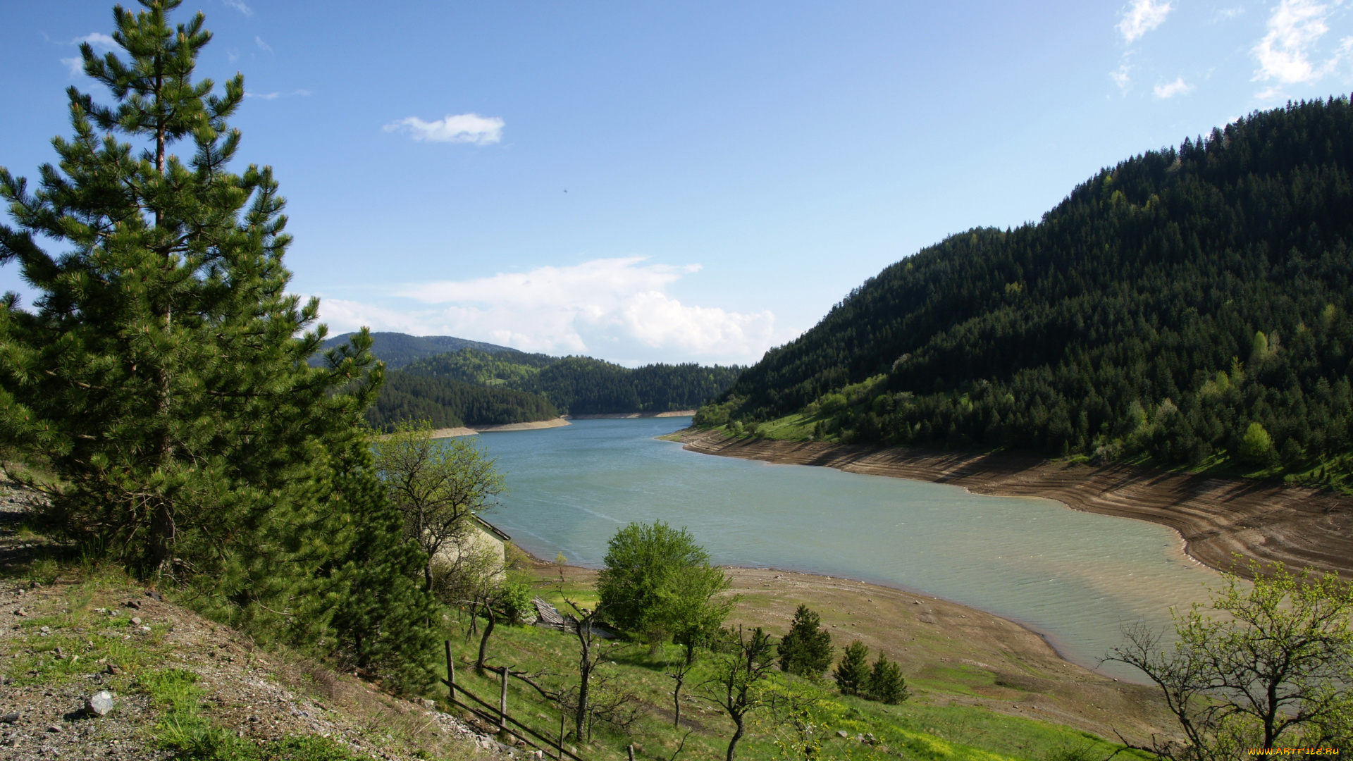 zaovine, lake, сербия, природа, реки, озера, берег, озеро