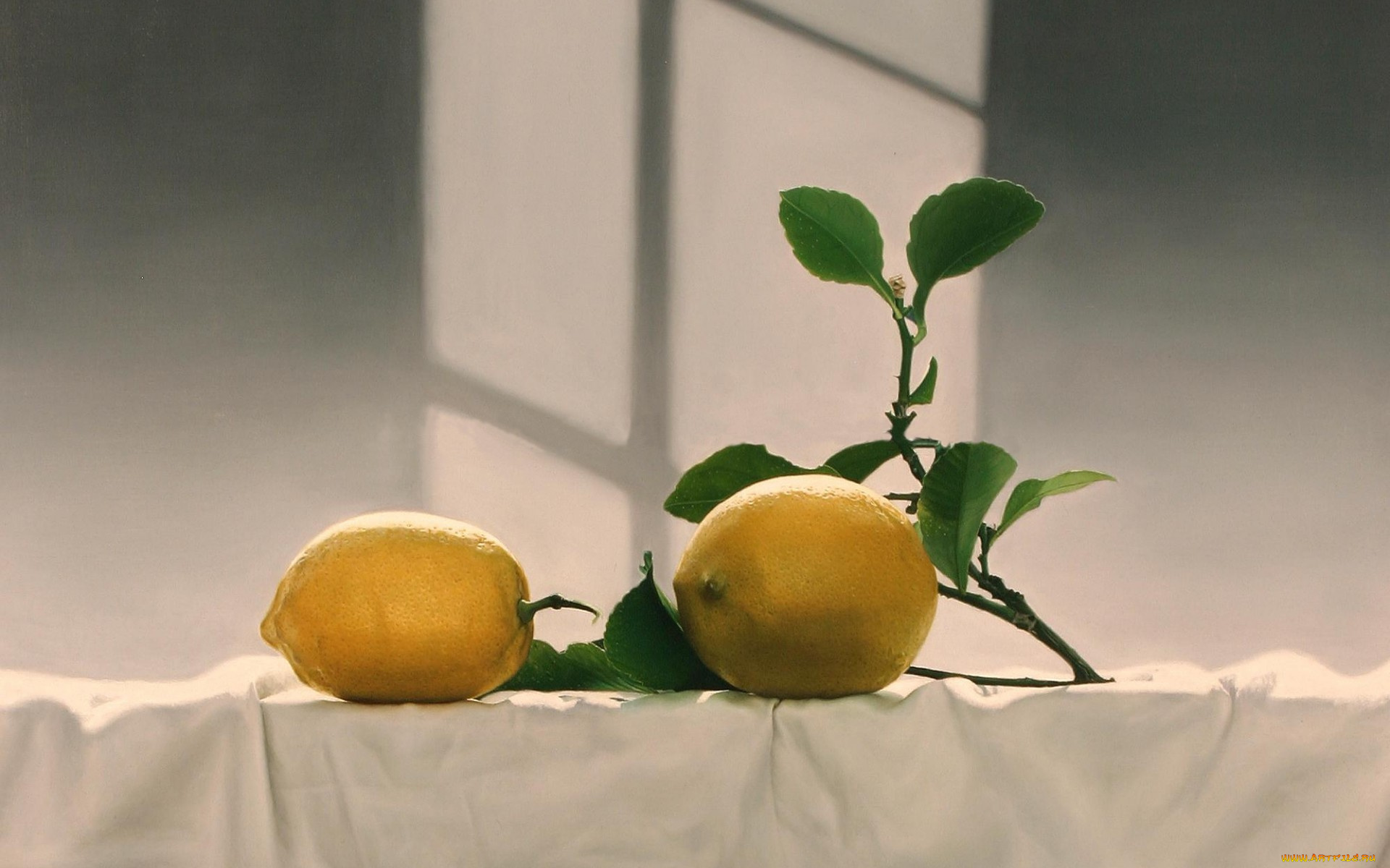 Натюрморт лимон Минимализм