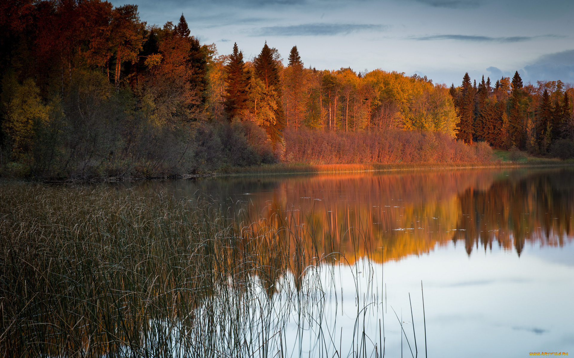 осенний лес у озера без смс