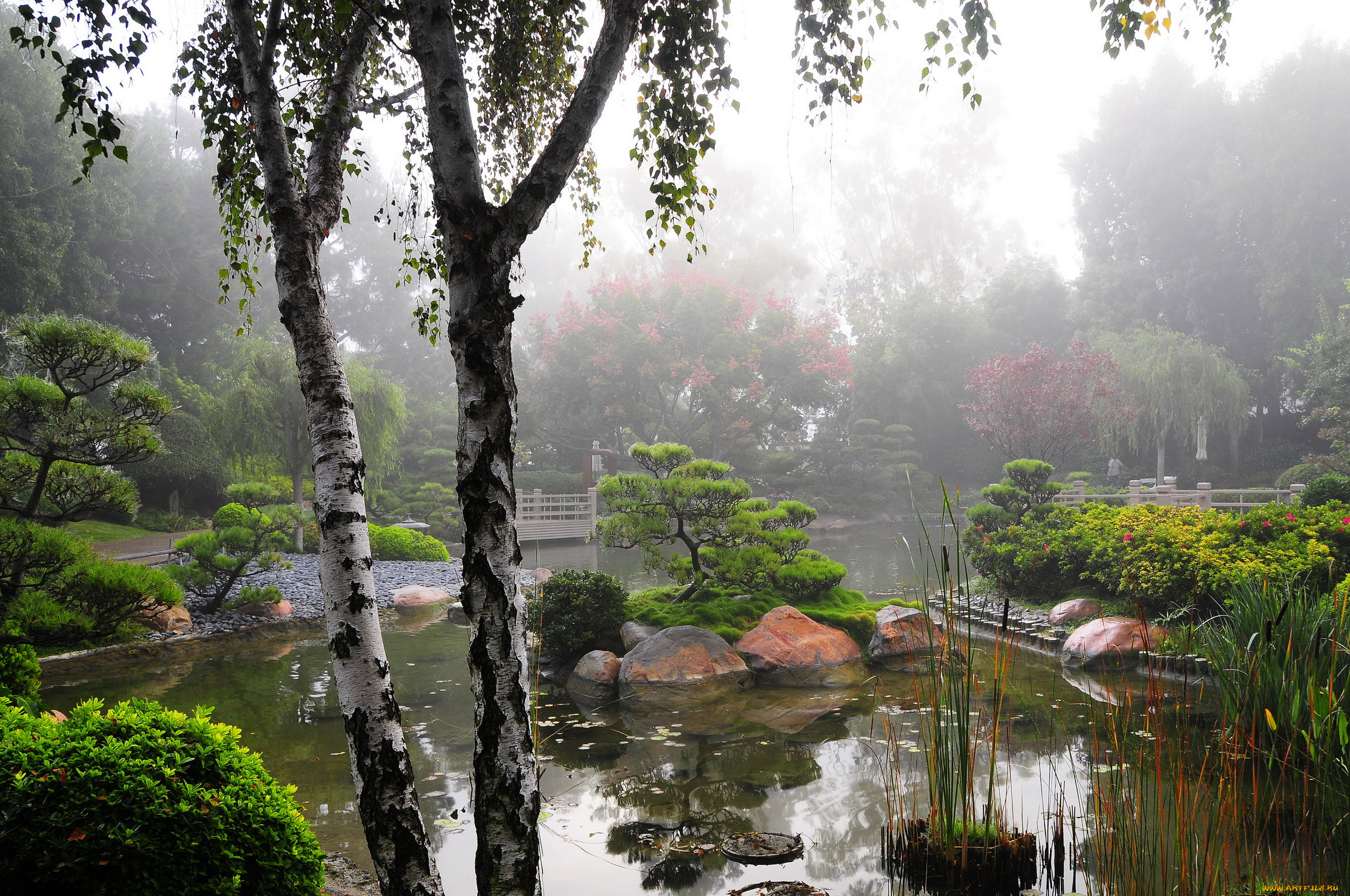 earl, burns, miller, japanese, garden, california, usa, природа, парк, водоем, растения