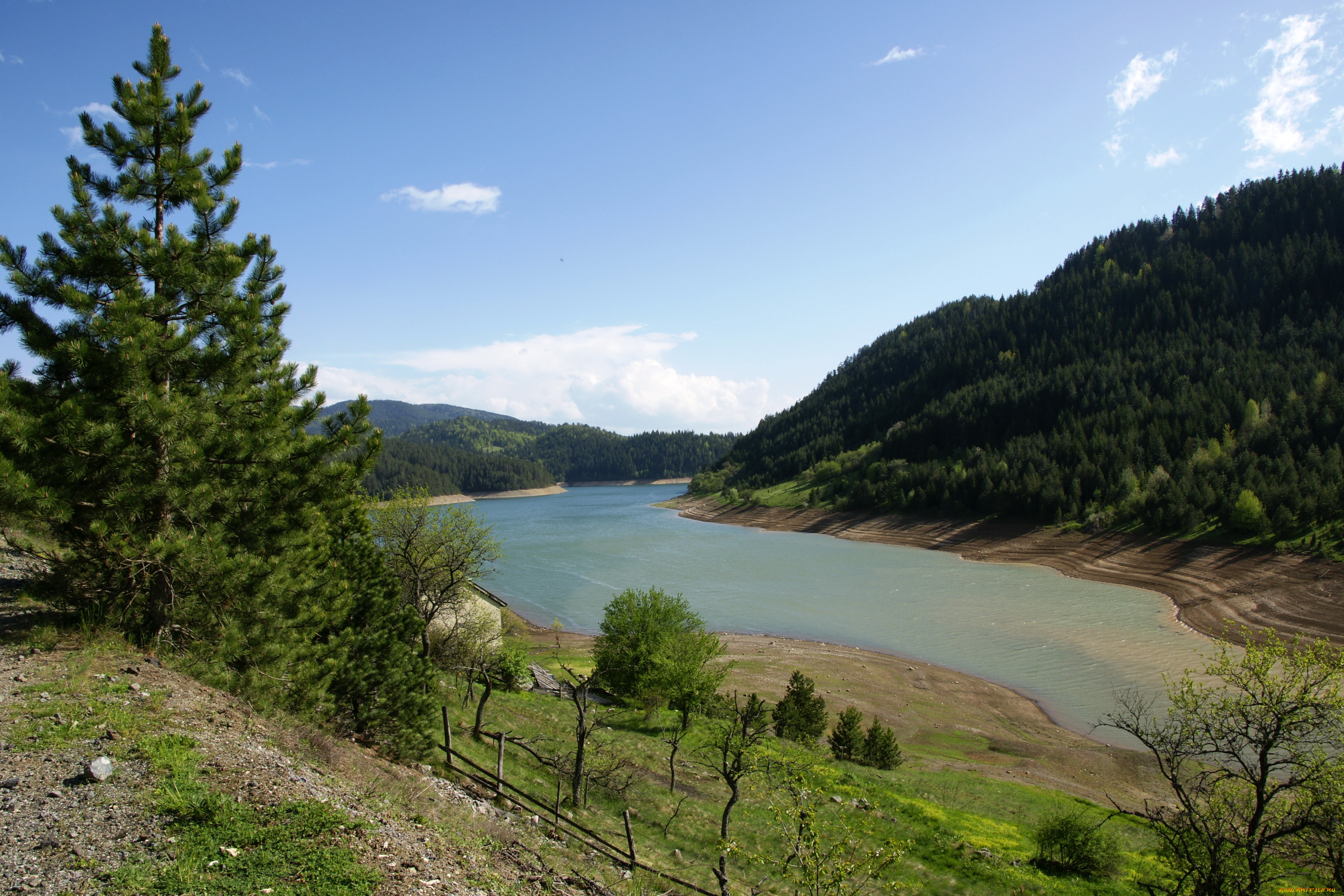 zaovine, lake, сербия, природа, реки, озера, берег, озеро