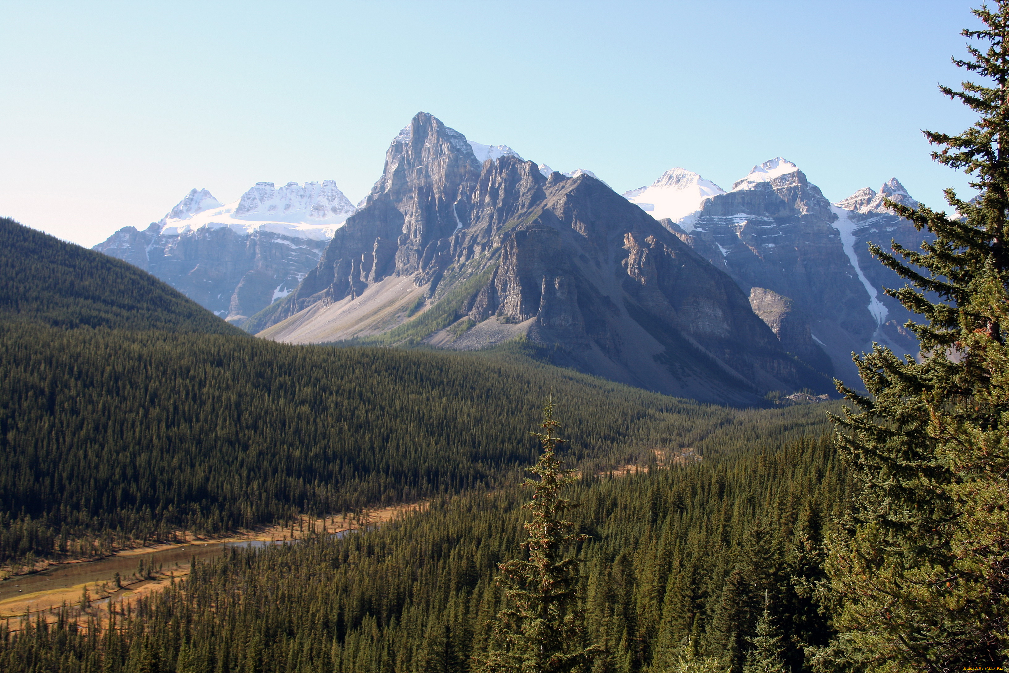 banff, canada, природа, горы, дорога, лес