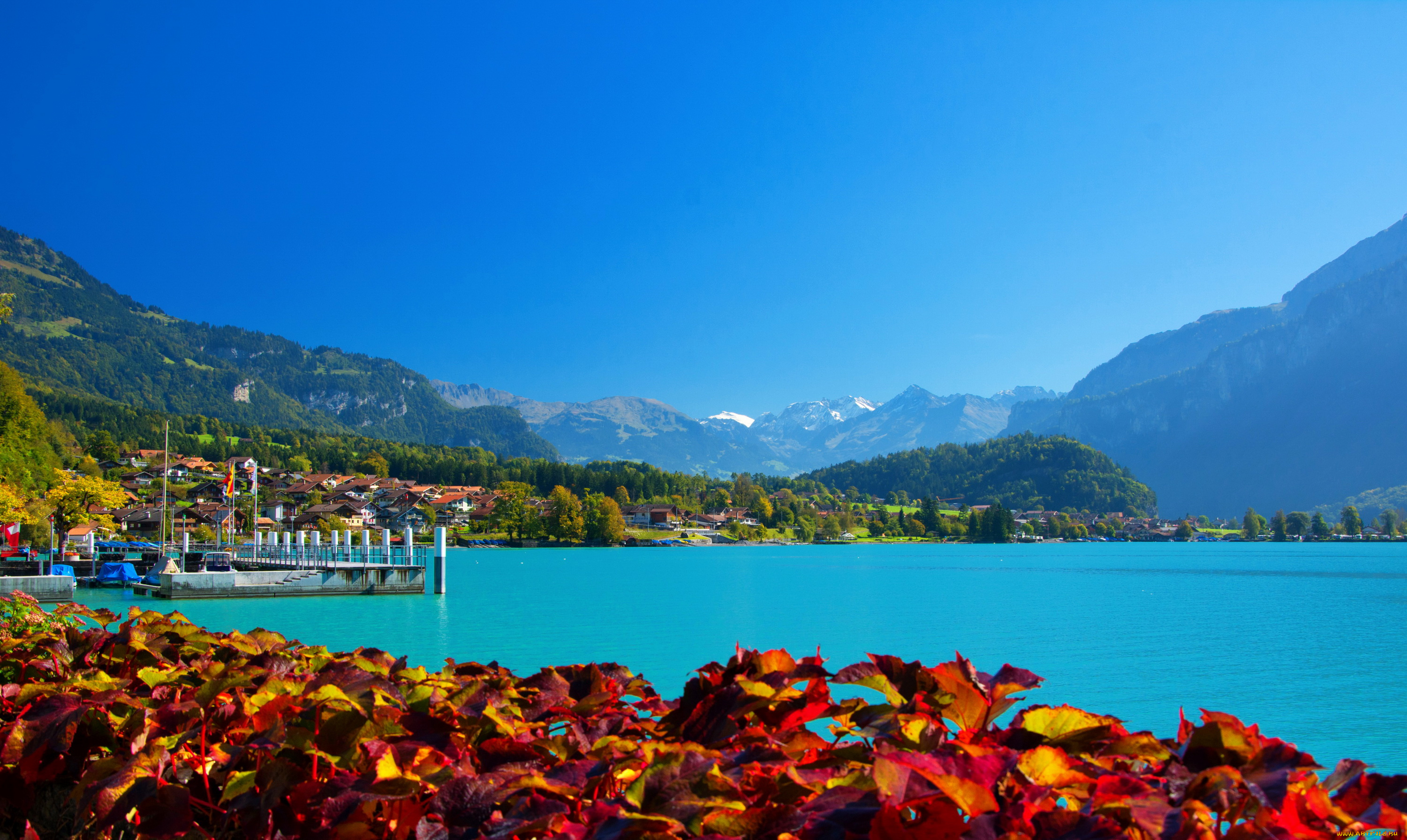 бриенц, швейцария, природа, реки, озера, пейзаж, побережье, озеро, швейцария, бриенц