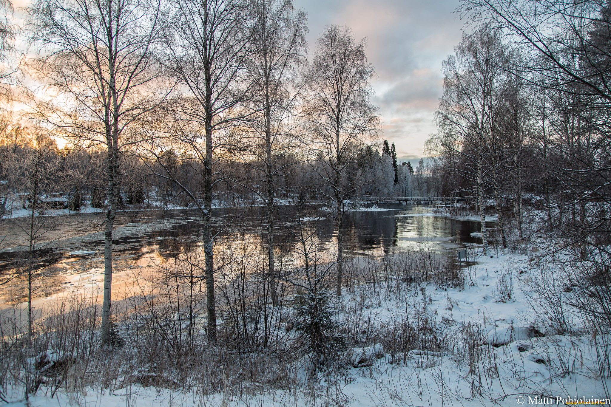 природа, реки, озера, лес, река