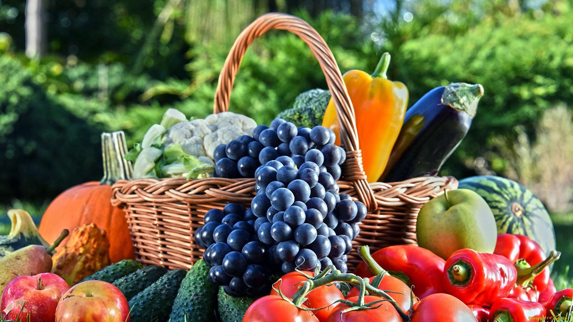 еда, фрукты, и, овощи, вместе, перец, огурцы, виноград