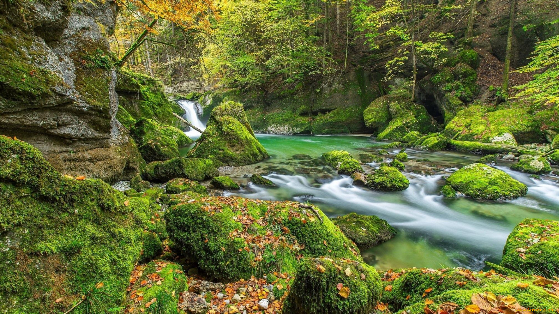 природа, реки, озера, река, камни, мох, осень, деревья, листья, лес