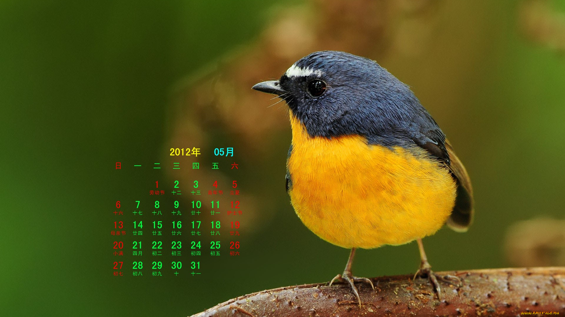 календари, животные, ветка, птица