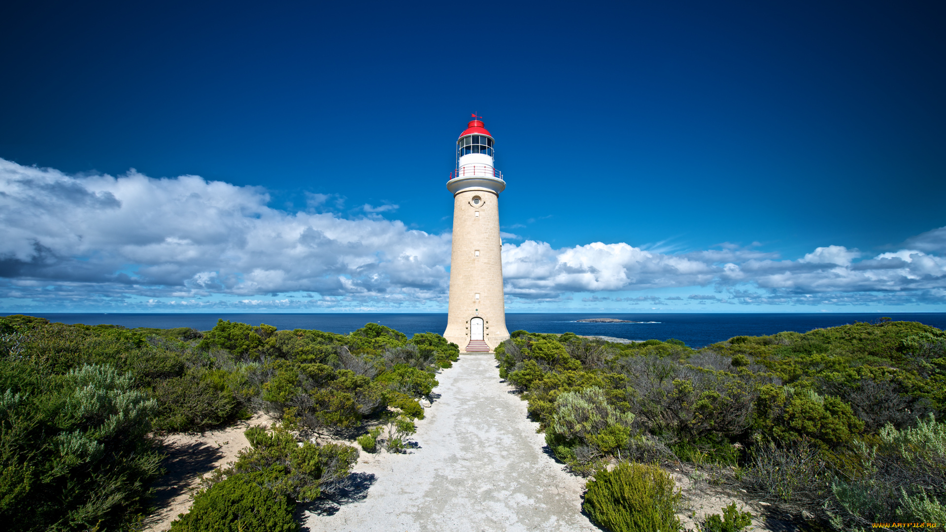 kangaroo, island, australia, природа, маяки, австралия, lighthouse, океан, побережье, кусты, облака