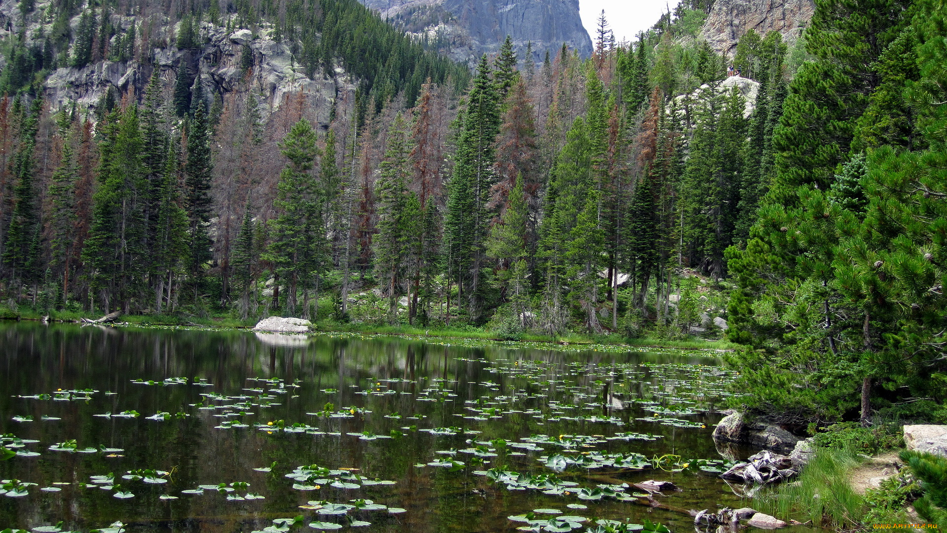 природа, горы, national, park, colorado, cub, lake, rocky, mountain