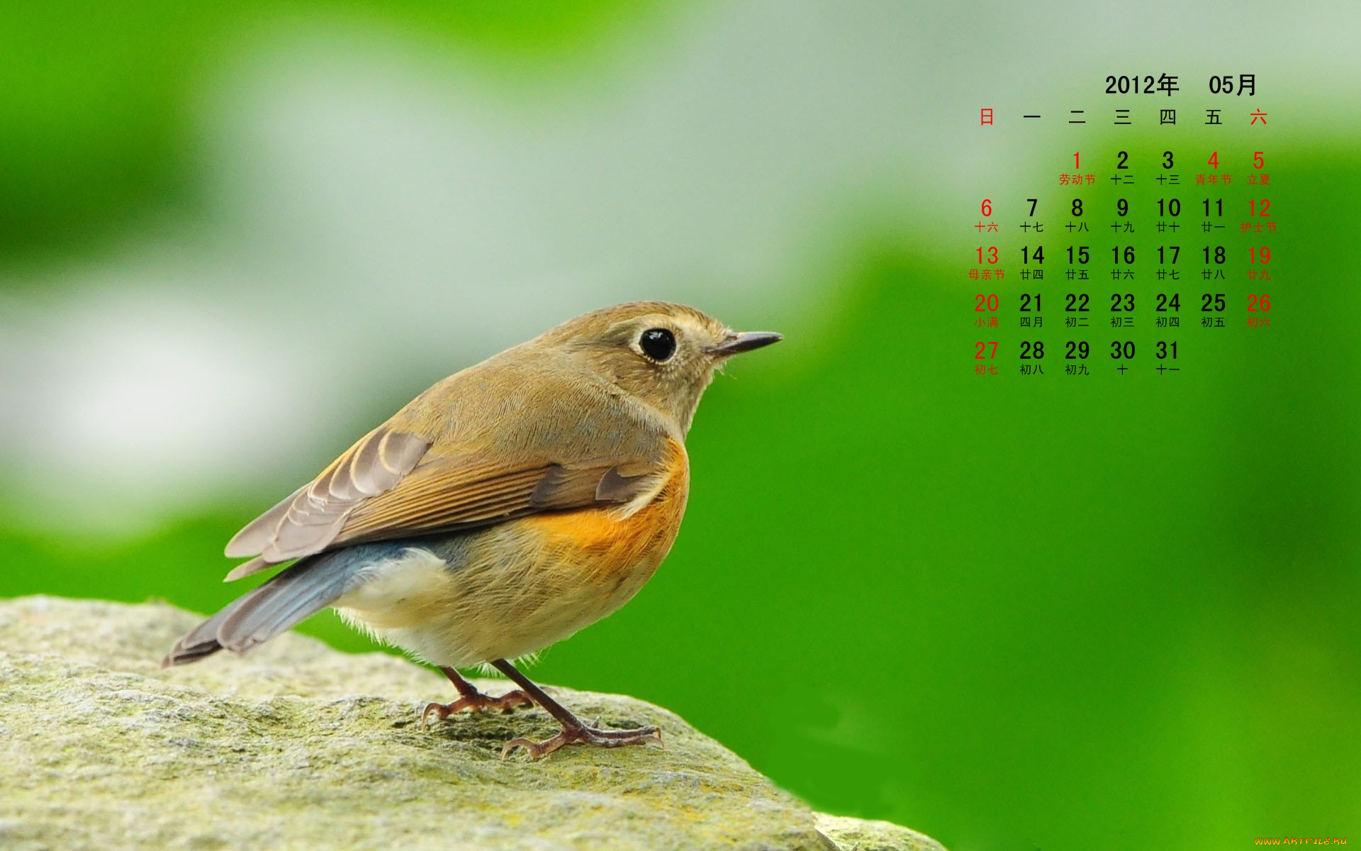 календари, животные, камень, птица