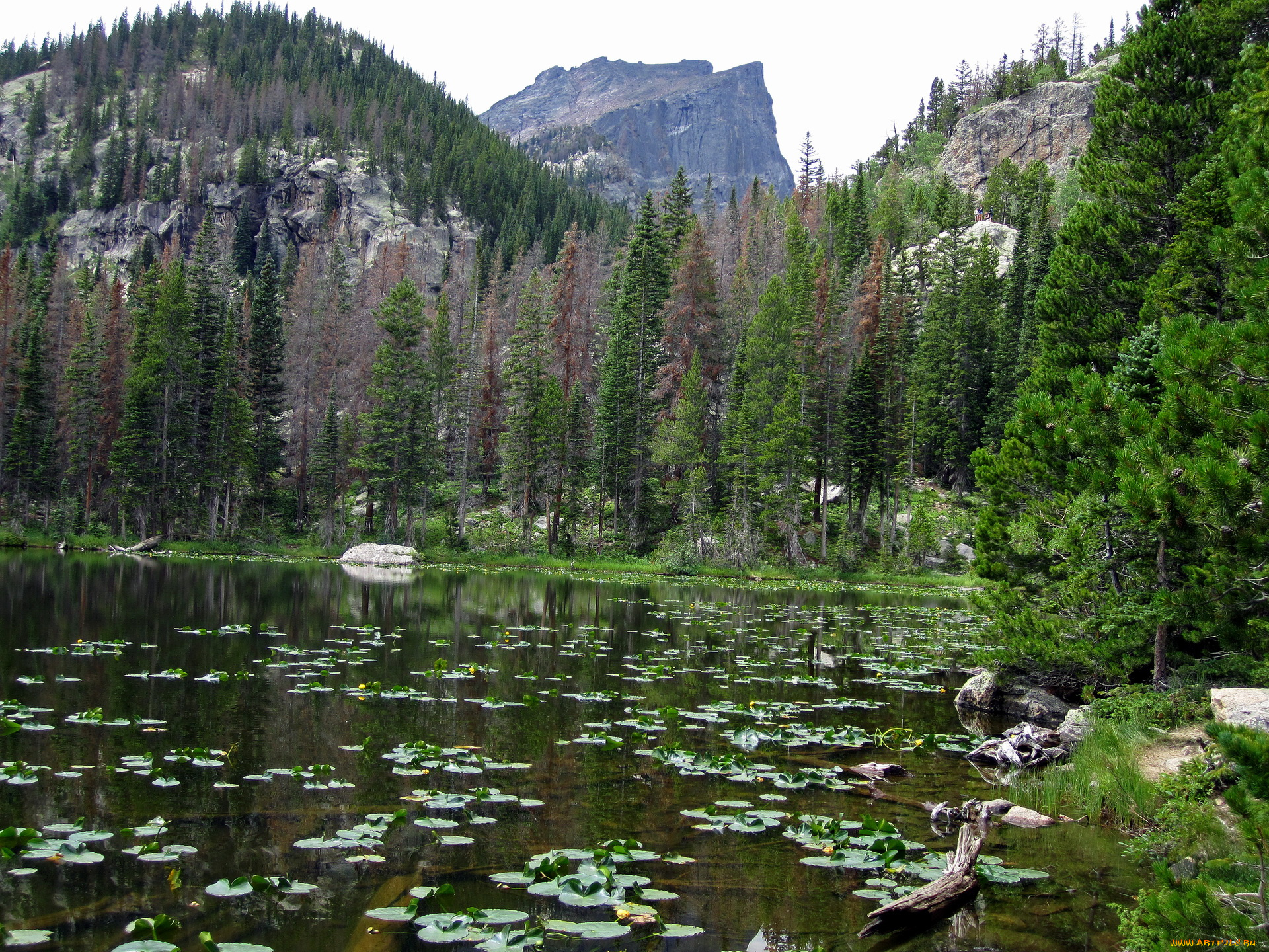 природа, горы, national, park, colorado, cub, lake, rocky, mountain