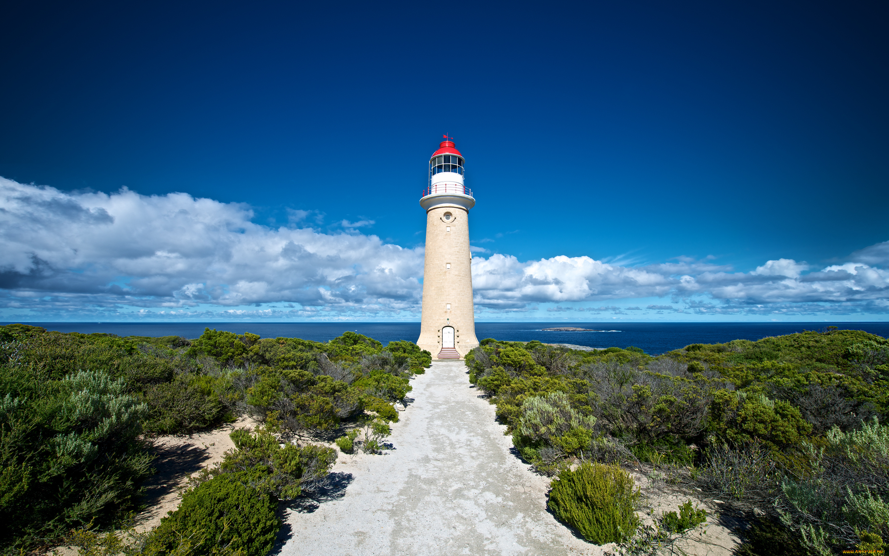 kangaroo, island, australia, природа, маяки, австралия, lighthouse, океан, побережье, кусты, облака