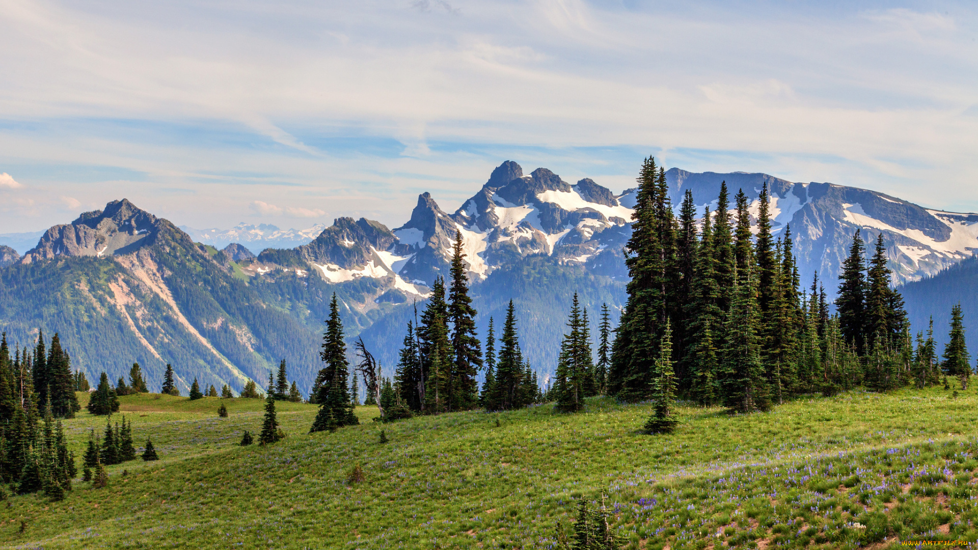 природа, горы, mount, rainier, national, park, вашингтон, сша, ели, утро