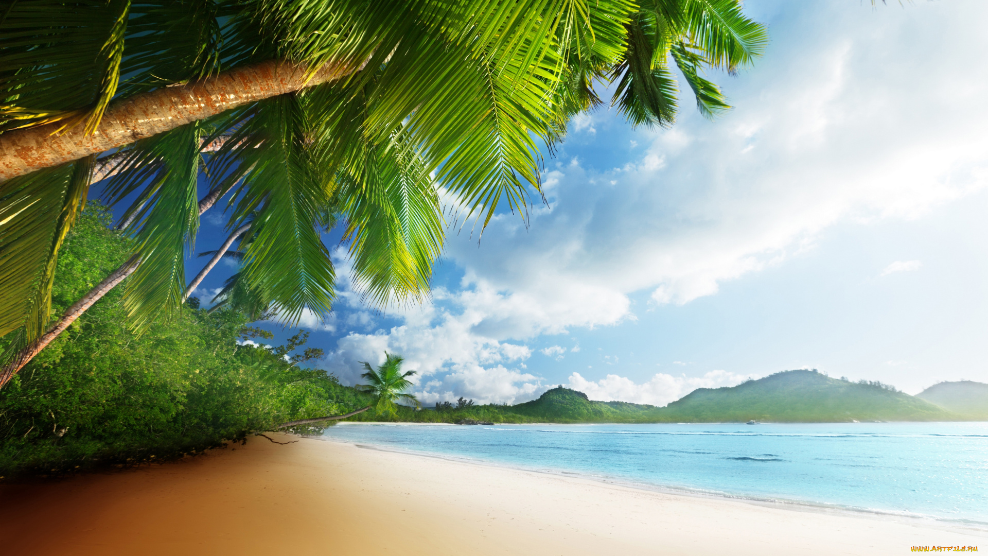 природа, тропики, солнце, пляж, песок, море, пальмы, небо, берег, океан