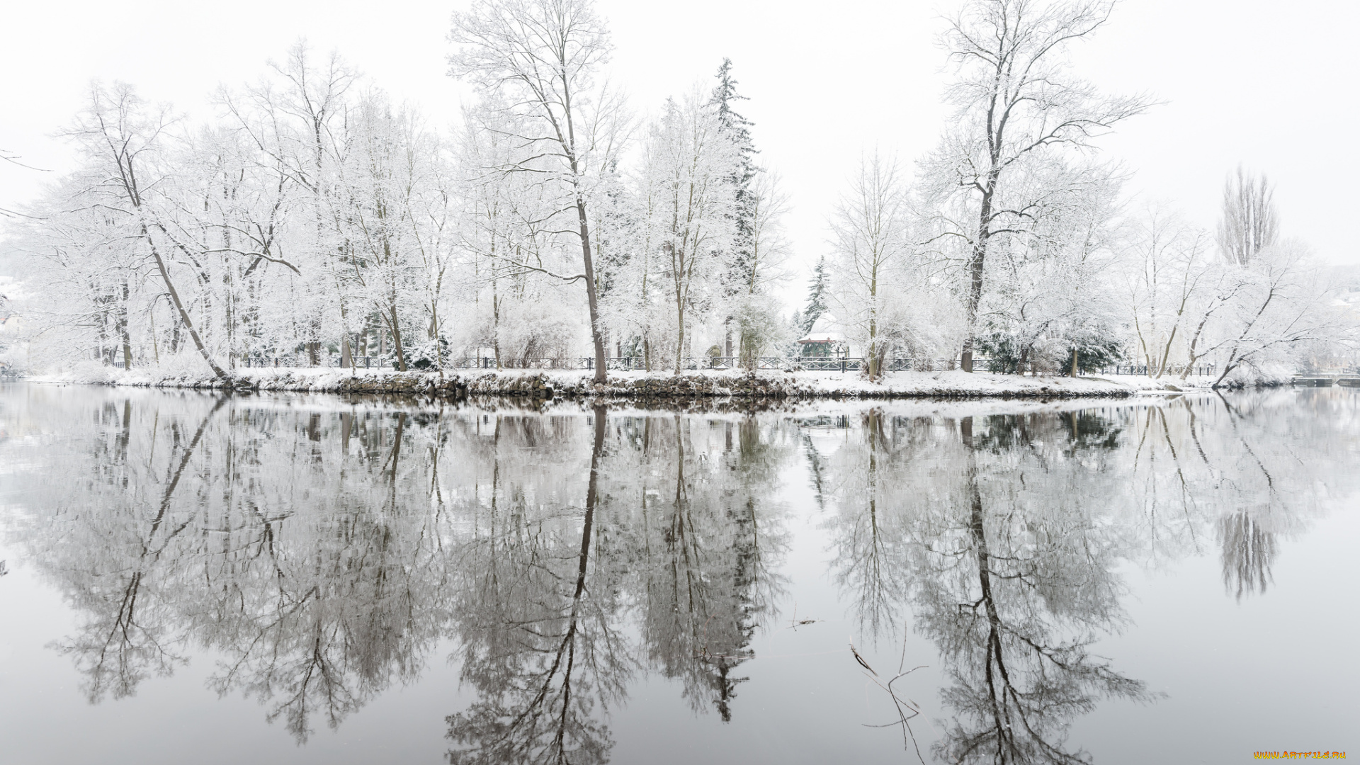 природа, зима, озеро, парк, отражение, иней, деревья