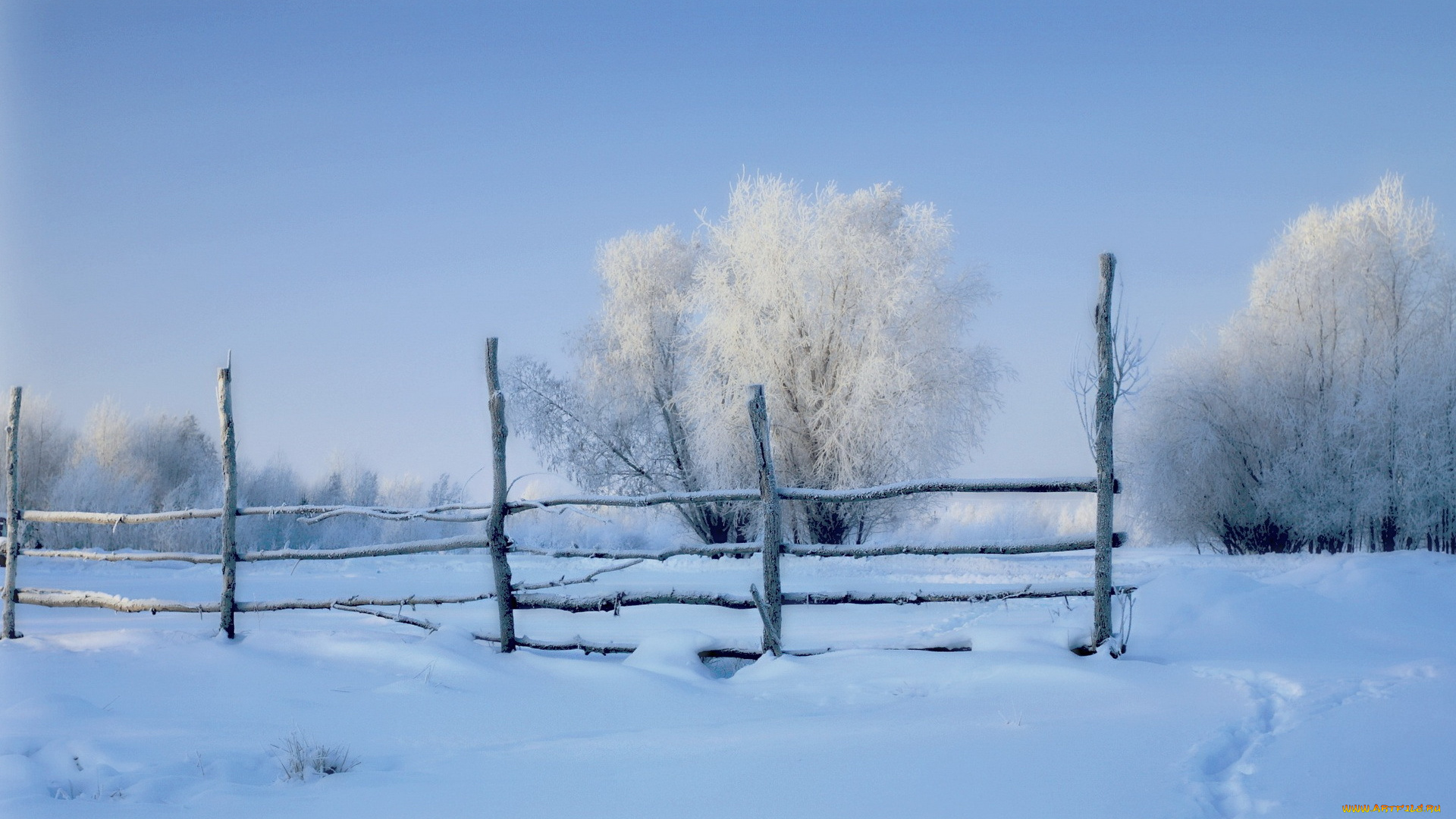 природа, зима, утро, поле, снег, забор