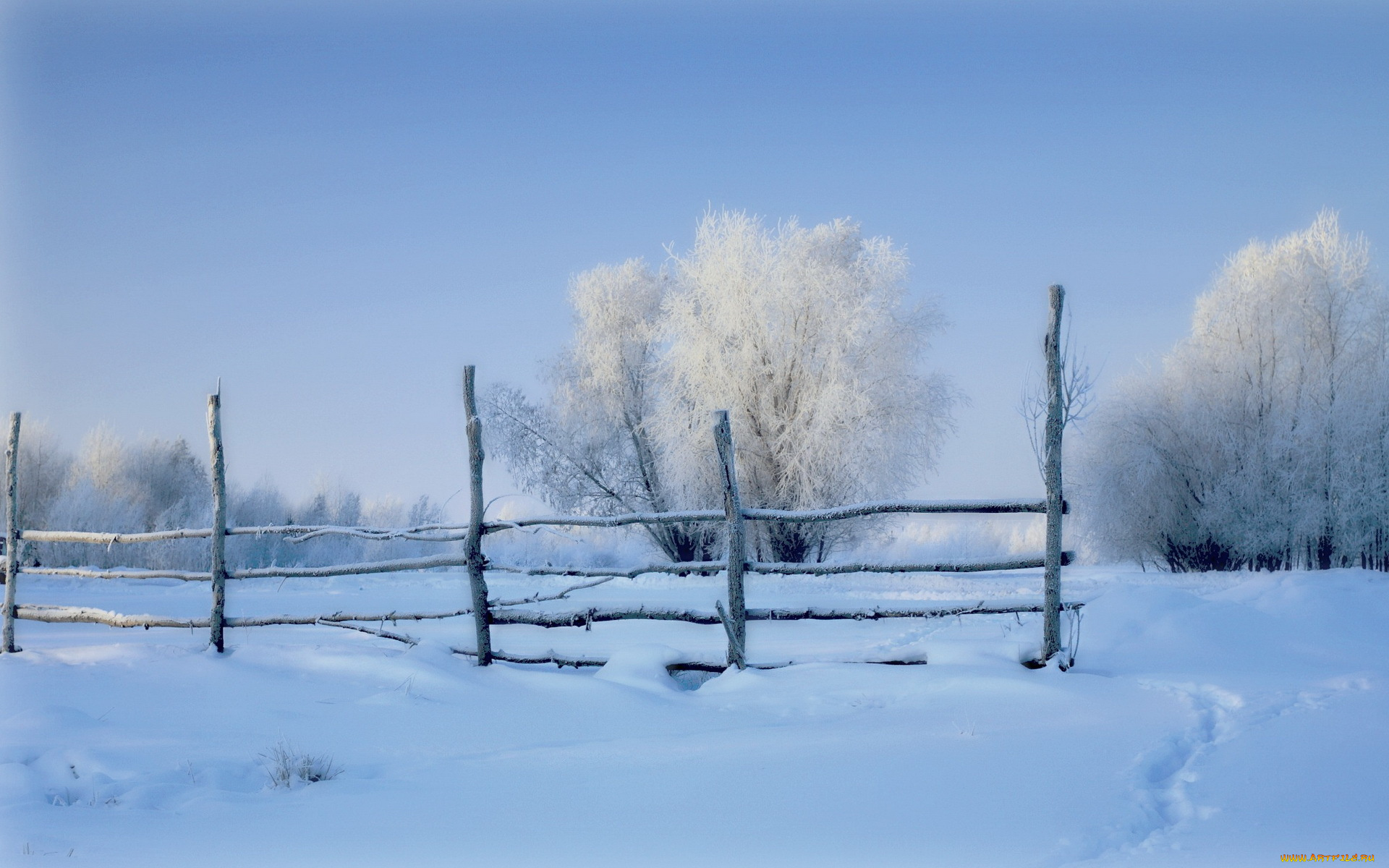 природа, зима, утро, поле, снег, забор