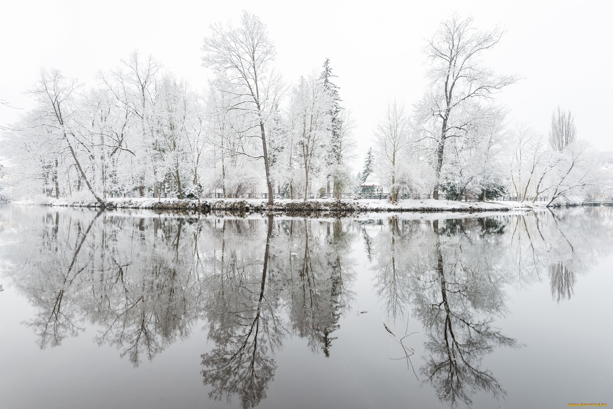 природа, зима, озеро, парк, отражение, иней, деревья