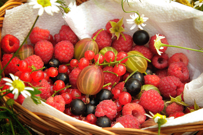 Обои картинки фото еда, фрукты,  ягоды, крыжовник, малина, смородина
