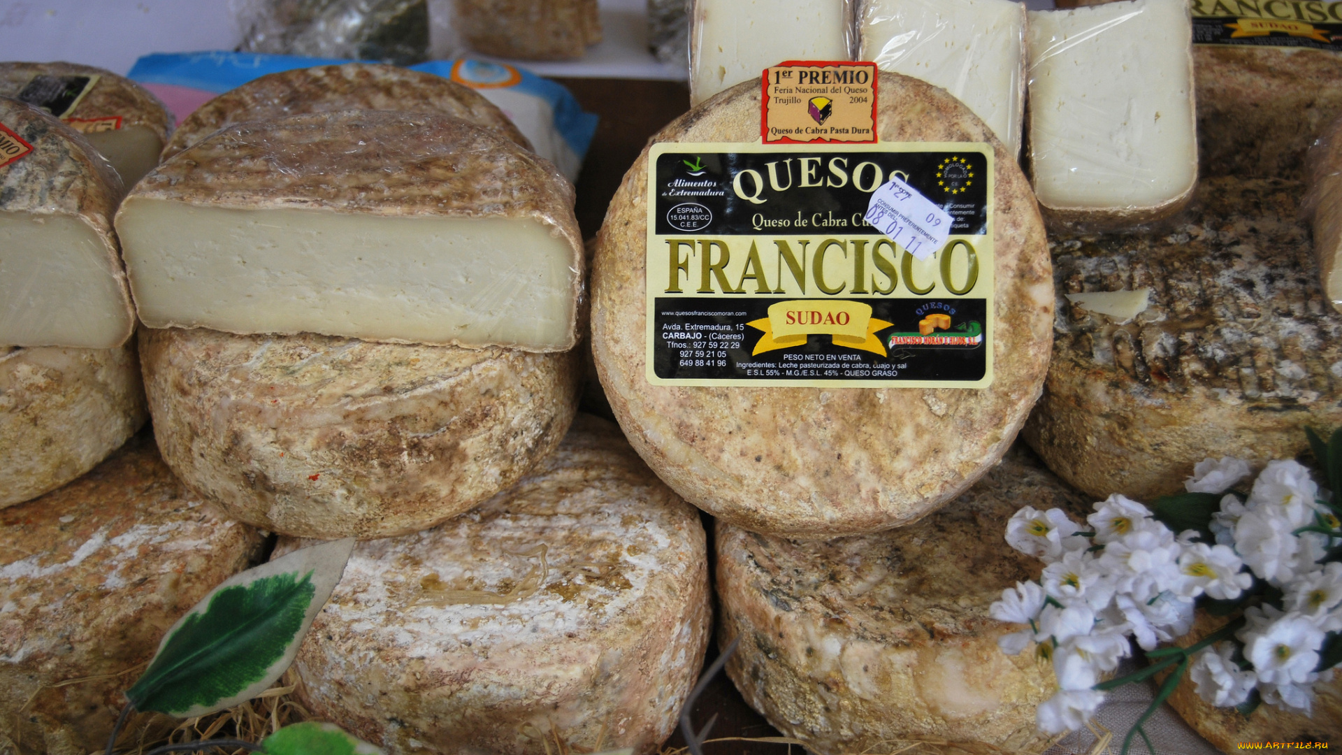 francisco, sudao, еда, сырные, изделия, сыр