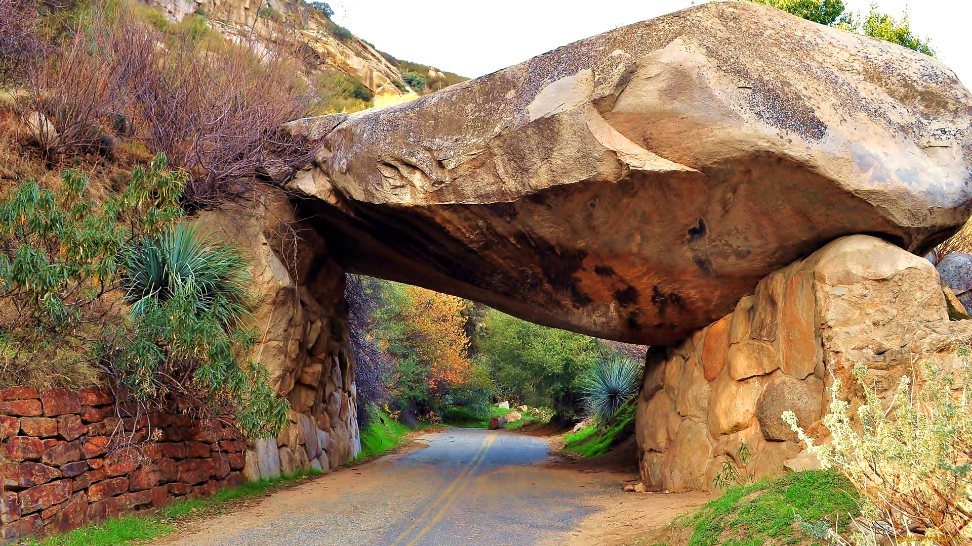природа, дороги, дорога, скалы, камни, тоннель, сша, sequoia, national, park