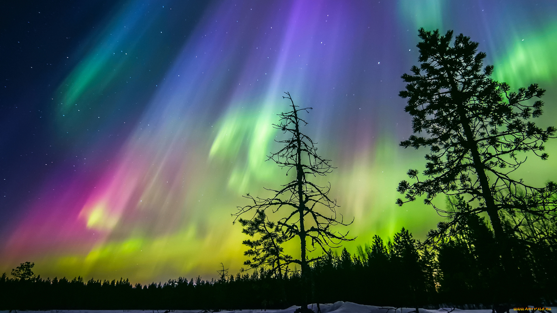 природа, северное, сияние, северное, сияние, звезды, небо, силуэты, деревья, финляндия, зима, ночь, лес, снег