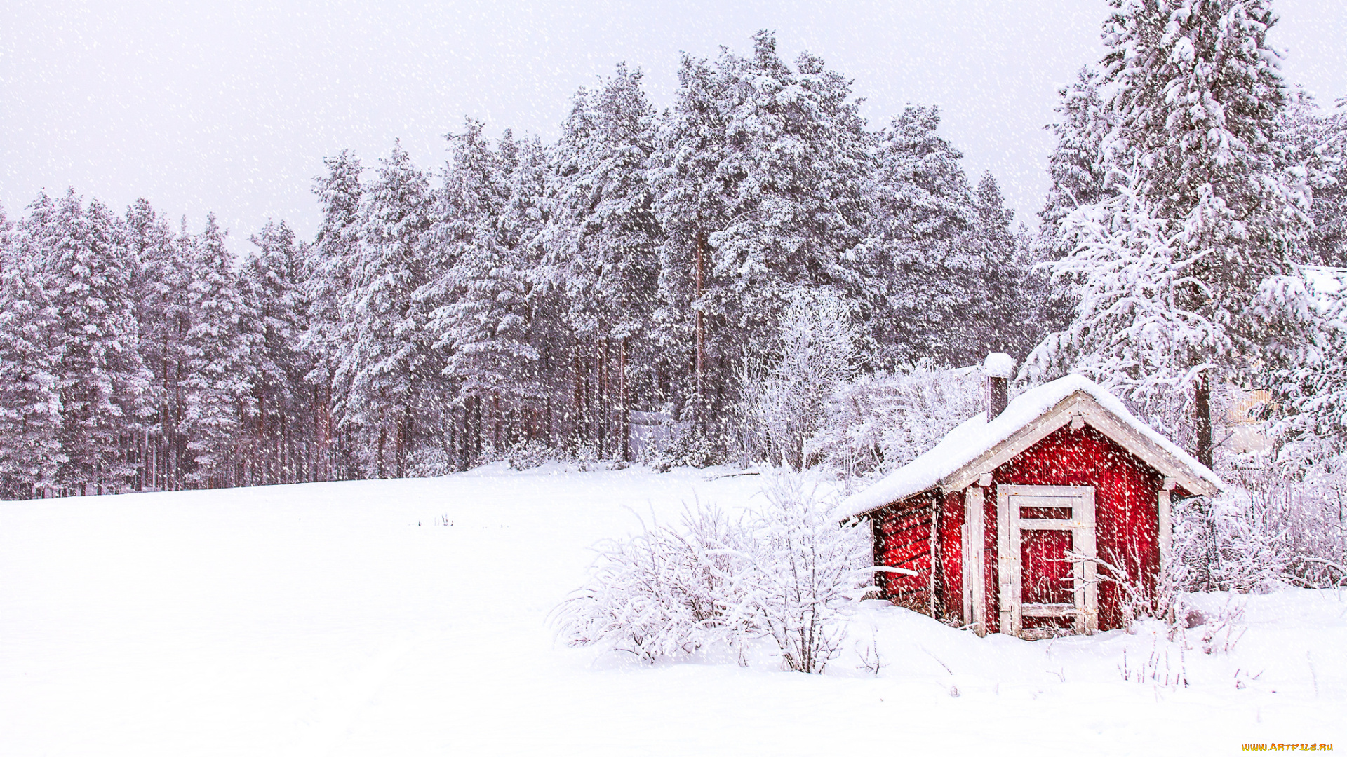 природа, зима, снег, деревья, лес, небо, норвегия