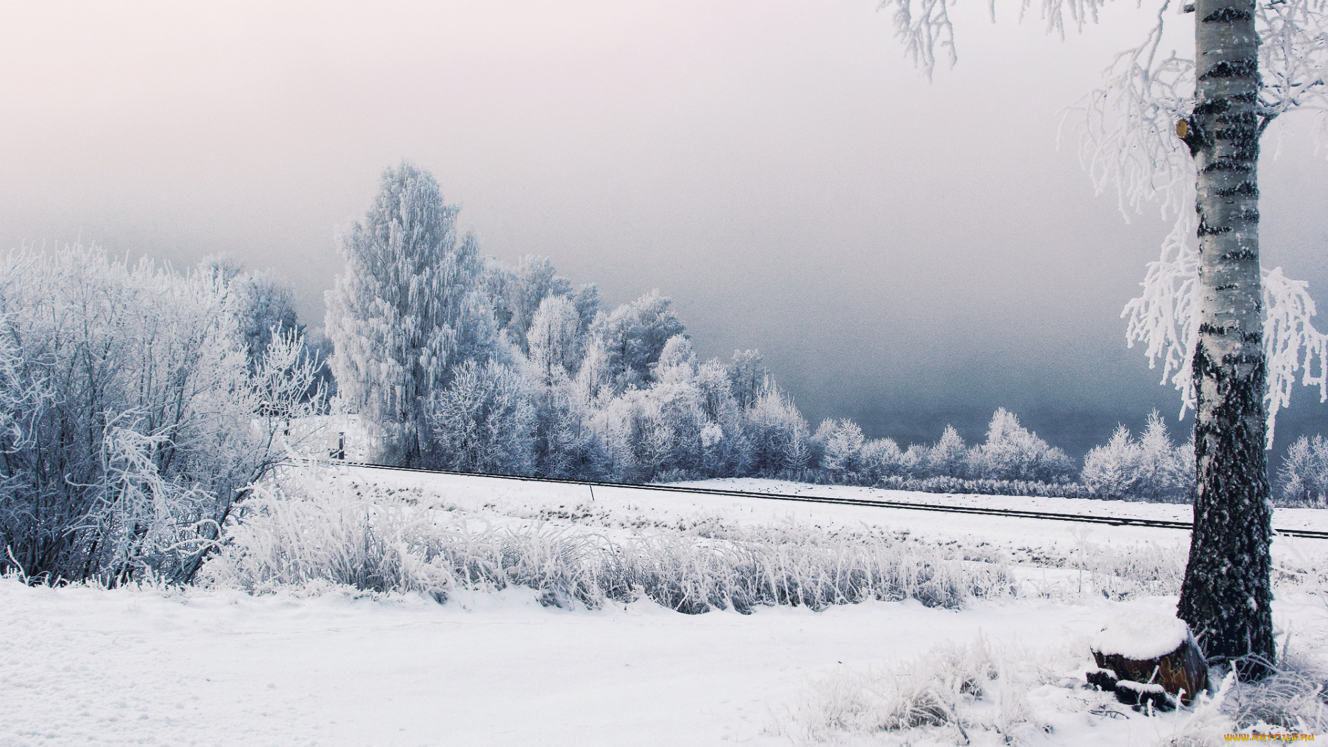 природа, зима, железная, дорога, иней, деревья, снег, швеция